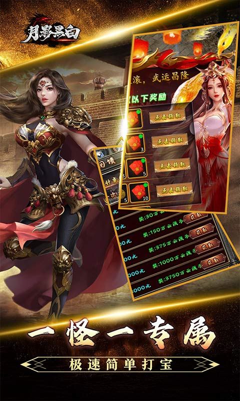 月影黑白（龙胆攻速天命分身）游戏截图5